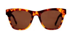 Georgie - Amber Tortoise