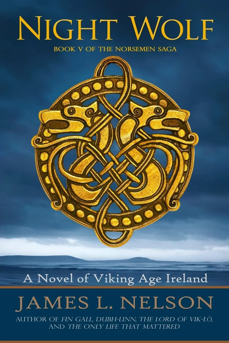 Night Wolf: A Novel of Viking Age Ireland (The Norsemen Saga) Paperback  June 27, 2016